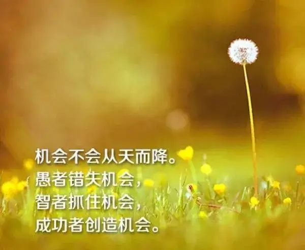 利久贝——赚钱也有道，道法自然插图